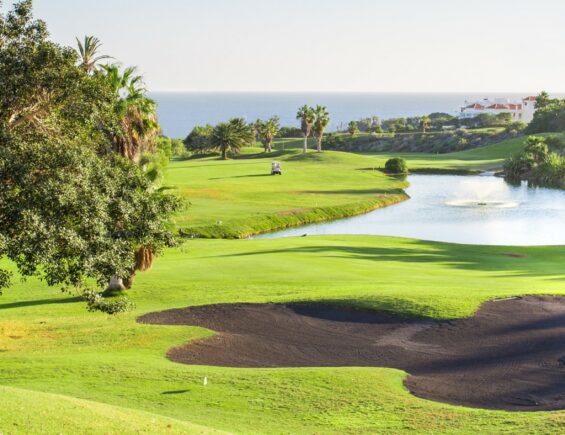 Golf del Sur, Spain