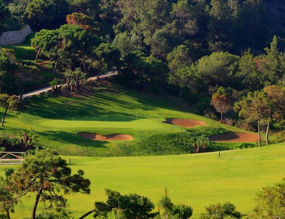 Chaparral Golf Club – Christmas Special Offer